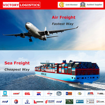 Fast Air Freight/ Cheap Sea Freight Service/Best Freight From China (Freight forwarder agent)